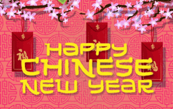 Chinese New Year 2022 Raining Money GIF