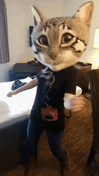 Chipi Chipi Chapa Chapa Cat Bubble Head GIF