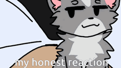 Chipi Chipi Chapa Chapa Cat Head Shake Reaction GIF