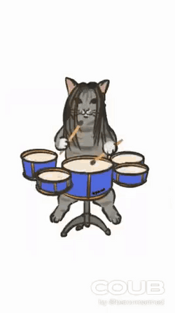 Chipi Chipi Chapa Chapa Cat Image Compilation GIF