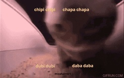 Chipi Chipi Chapa Chapa Cat Rainbow Lights GIF