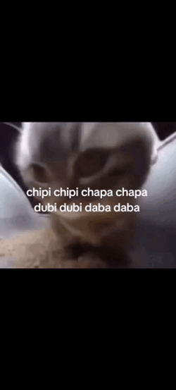 Chipi Chipi Chapa Chapa Dancing Cat Meme GIF