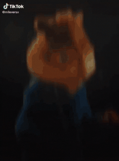 Chipmunk In Blue Hoodie With TikTok Watermark GIF