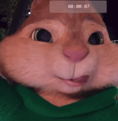 Chipmunk In Green Sweater 00 00 07 GIF