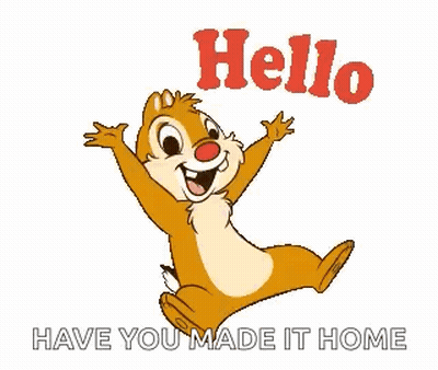 Chipmunk Jumping Hello Have You Made It Home GIF