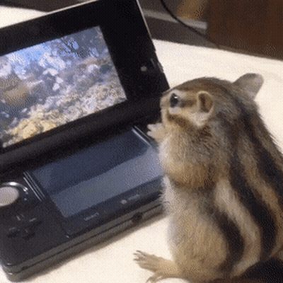 Chipmunk Sitting In Front Of Video Game Console GIF