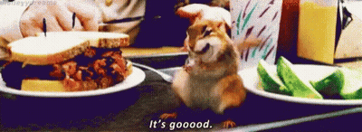 Chipmunk Sitting On Tray Next To Food And Cucumber Slices GIF