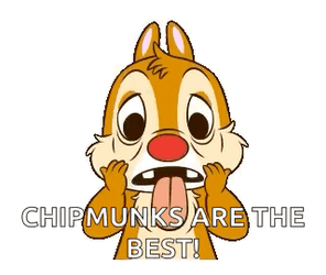 Chipmunks Silly Face GIF
