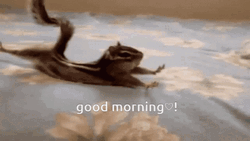Chipmunks Sliding On The Bed GIF