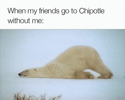 Chipotle Burritos GIF