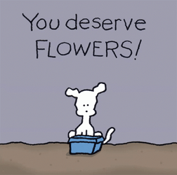 Chippy Animated Dog You Deserve Flowers GIF
