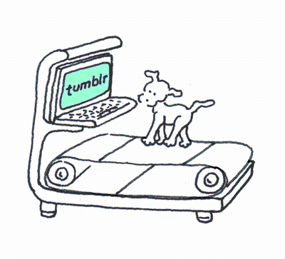 Chippy The Dog On Treadmill GIF