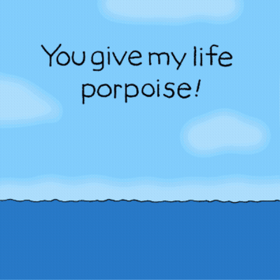Chippy The Dog Porpoise Gift GIF