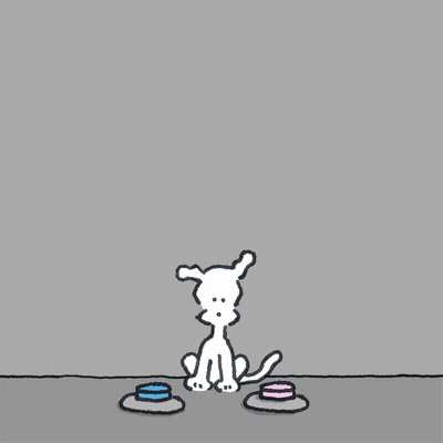 Chippy The Dog Saying You Are Beautiful GIF
