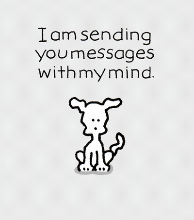 Chippy The Dog Sending Mind Messages GIF