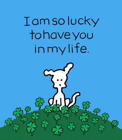 Chippy The Dog Shamrock Lucky GIF