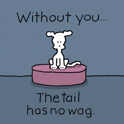 Chippy The Dog Without You Tail No Wag GIF