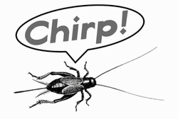 Chirp Monochromatic Crickets GIF