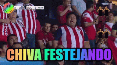 Chiva Celebrating In Stadium GIF