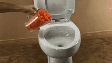 Chiz Curls Flushed In Toilet GIF