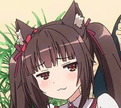 Chocola Eyebrows Raised Nekopara GIF