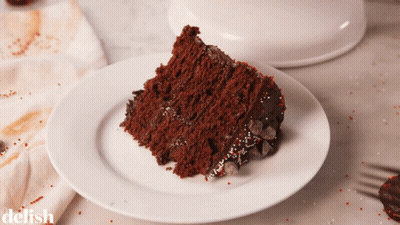 Chocolate Cake Slice On Plate Saying Delish GIF