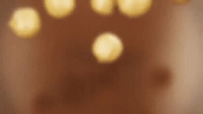 Chocolate Cake With Nuts Falling GIF