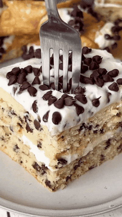 Chocolate Chip Cake With Whipped Cream GIF