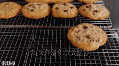 Chocolate Chip Cookies On Cooling Rack Saying Mmmm Cookie GIF
