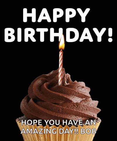 Chocolate Cupcake With Lit Candle Saying Happy Birthday Hope You Have An Amazing Day Bob GIF