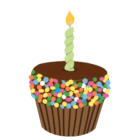 Chocolate Cupcake With Sprinkles And Candle Sticker