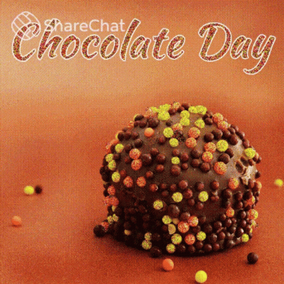 Chocolate Day Cake With Sprinkles GIF