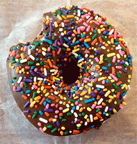 Chocolate Donut With Rainbow Sprinkles GIF