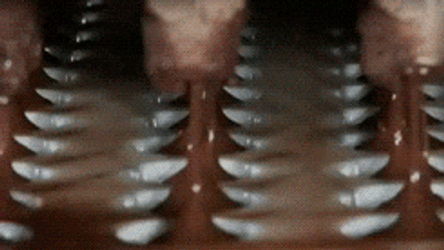 Chocolate Factory High Technology Processing GIF