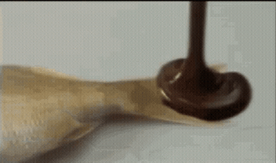 Chocolate Is Being Poured On A Piece Of Chicken On A Table . GIF