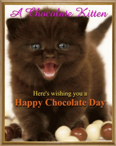 Chocolate Kitten Happy Chocolate Day GIF