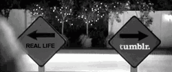 Choose Between Tumblr And Real Life GIF