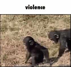 Choose Violence Monkey Gorilla GIF