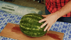 Chop On Watermelon GIF