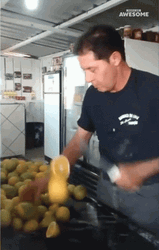 Chop The Lemons Into Two GIF