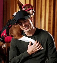 Chris Evans With Dog GIF