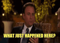 Chris Harrison What Just Happened Here GIF