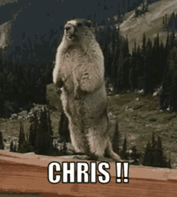 Chris Hey GIF
