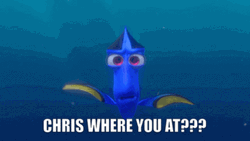 Chris Where You At Finding Dory GIF