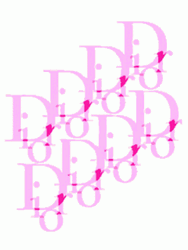 Christian Dior Blinking Wordmark