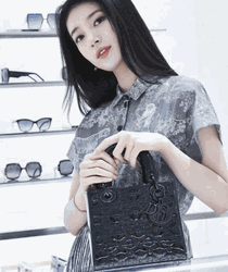 Christian Dior Handbag Suzy