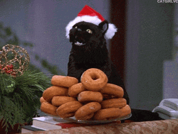 Christmas Black Cat Eating Doughnuts GIF