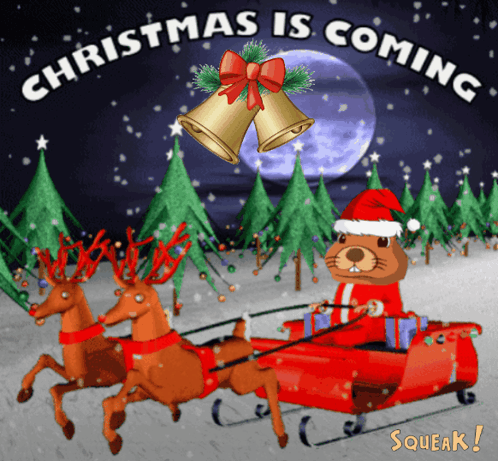 Christmas Card With Squirrel In Sleigh GIF