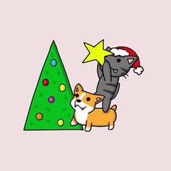Christmas Cat Putting Star GIF