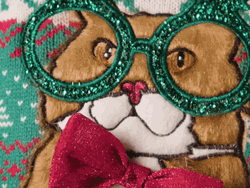 Christmas Cat With Green Glasses GIF